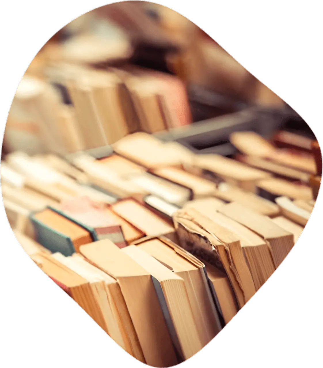 Our Entire Book Writing Team | Apex Author Studio
